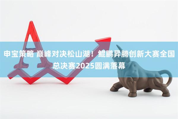 申宝策略 巅峰对决松山湖！鲲鹏昇腾创新大赛全国总决赛2025圆满落幕