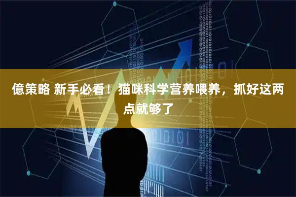 億策略 新手必看！猫咪科学营养喂养，抓好这两点就够了