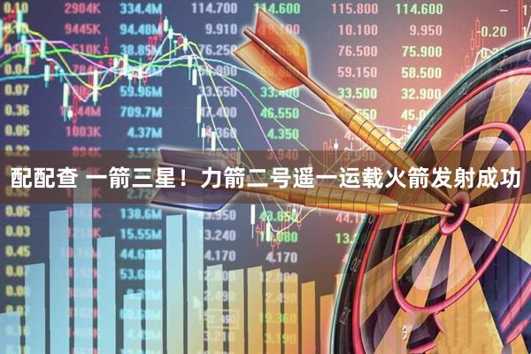 配配查 一箭三星!力箭二号遥一运载火箭发射成功